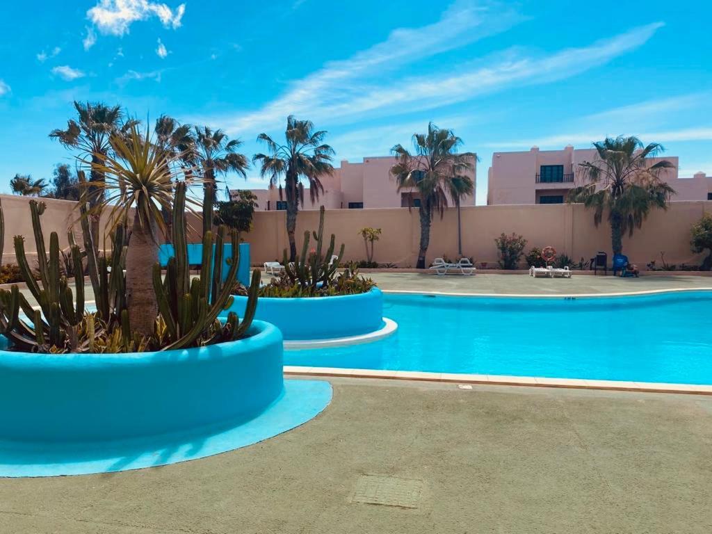 Parque Holandes Surf And Chill Bungalow 70 아파트 외부 사진