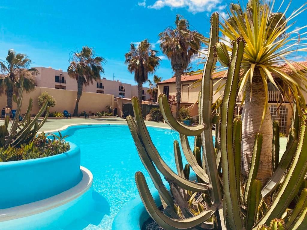 Parque Holandes Surf And Chill Bungalow 70 아파트 외부 사진